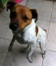 Bob
