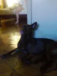 Beta