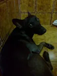 Beta