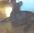 Beta