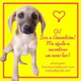 Amendoim
