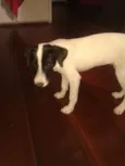 Mia