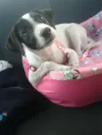 Mia