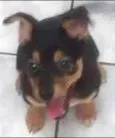 Lilika