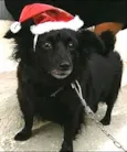 miuki
