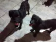  ana e maria