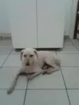 Branquinho