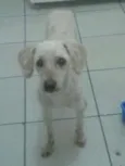 Branquinho