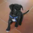 Marley