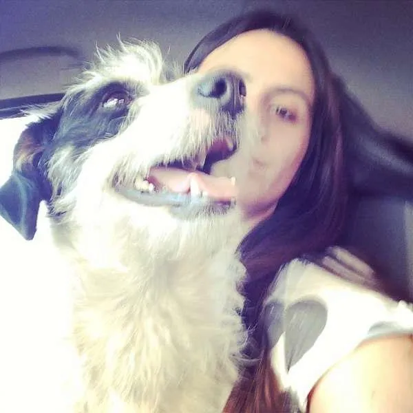 Cachorro ra a SRD idade 2 anos nome Pitico