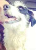 Pitico
