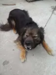 Bilu