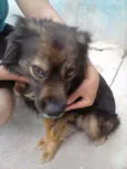Bilu