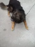 Bilu