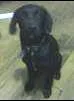Lindo menino