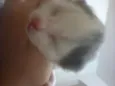 Não tem nome