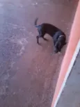 Rubi