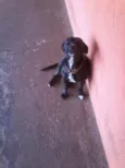 Rubi