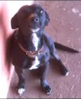 Rubi