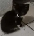 Fred
