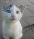 Kira