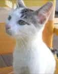 Kira