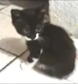 Fred