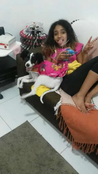 Cachorro ra a Lhasa Apso idade 1 ano nome bianca