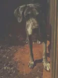 GRANDALHÃO