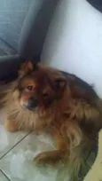 Leão