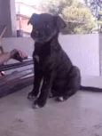 nina e ninha