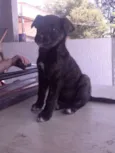 nina e ninha