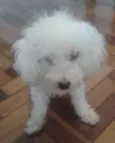 Pituka