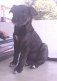 Nina 