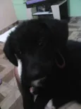 Princesa
