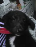 Princesa