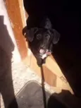 Princesa
