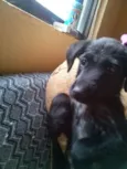 Nina