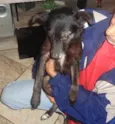 Pelezinho