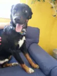 miguel