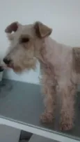 Nolly