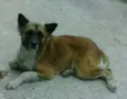 BELINHA JD. ANGELA