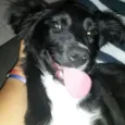 Edgar