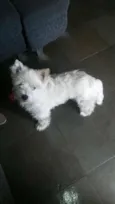 billy