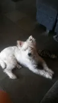 billy
