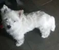 billy