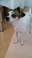 teo
