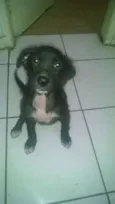 Molly