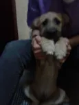 Nina