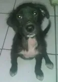 Molly